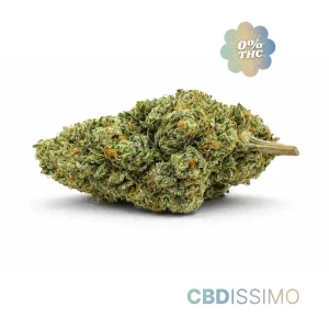 Pinneaple-express-cbd15-0-thc-cbdissimo