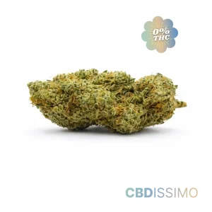 gorilla-glue-cbd15-0-thc-cbdissimo